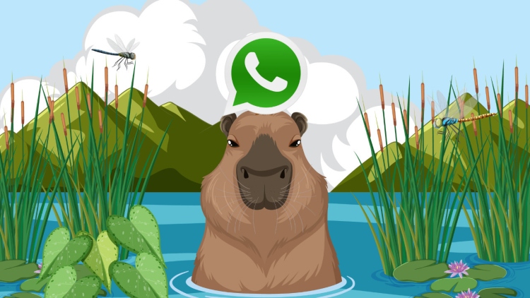 Modo Capibara en WhatsApp: Ajuste su estilo relajado -App