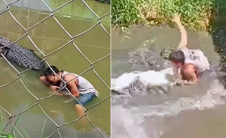 Ataque de cocodrilo a Filipinas: el turista sobrevive después de confundir a Reptile con una estatua