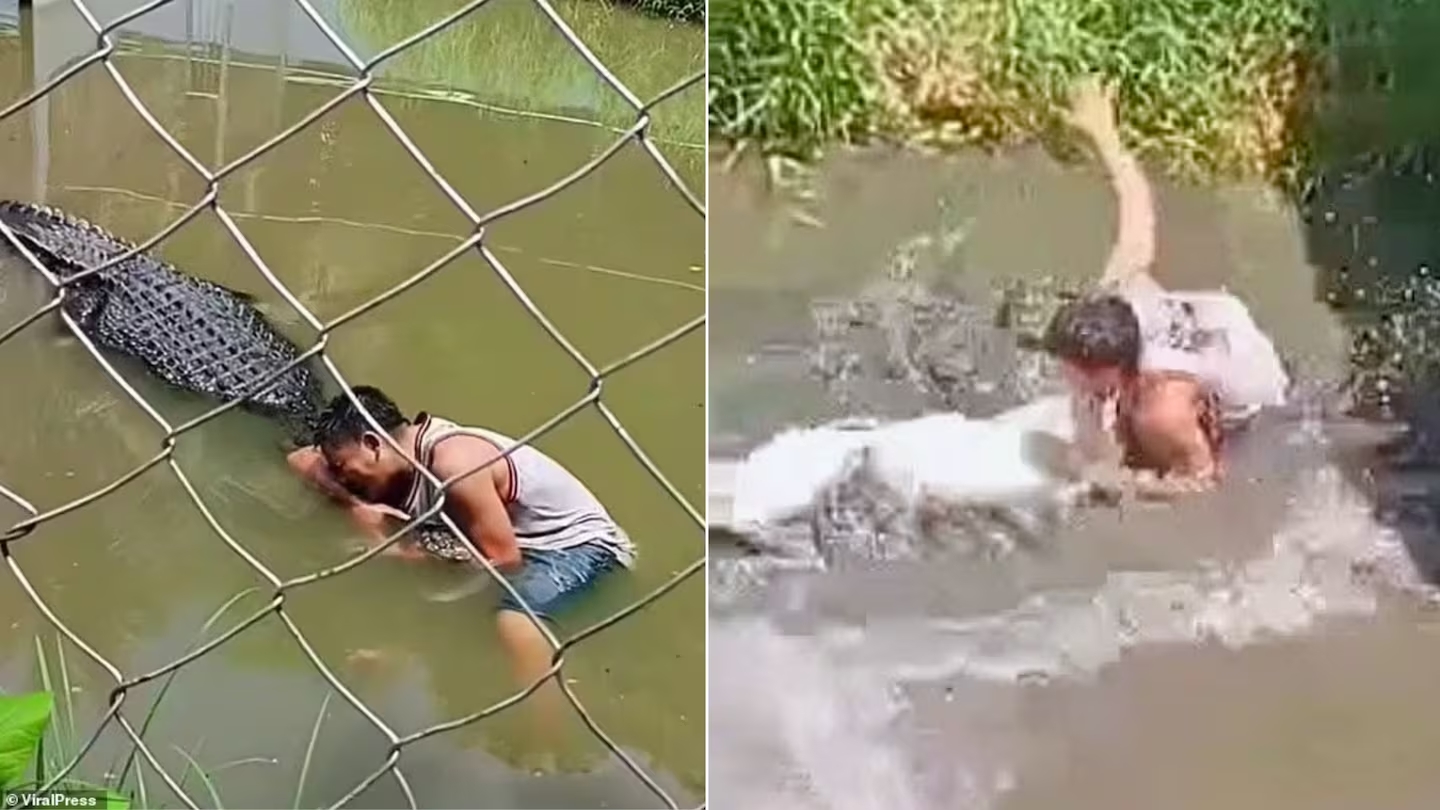 Ataque de cocodrilo a Filipinas: el turista sobrevive después de confundir a Reptile con una estatua