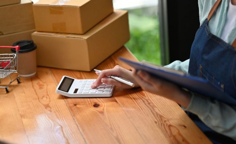 ¿Cómo son las pequeñas y medianas empresas en tecnología?