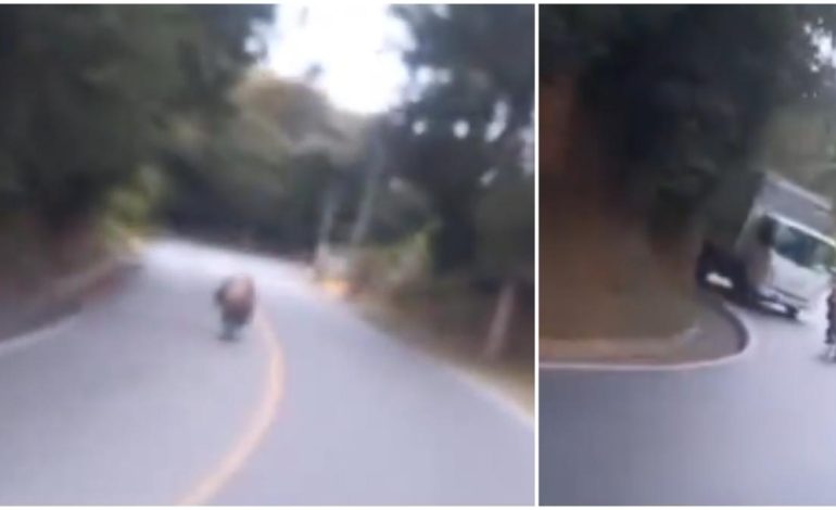 El hombre sufrió un accidente grave cuando practicó una «bicicleta de registro» en Antioquia Road