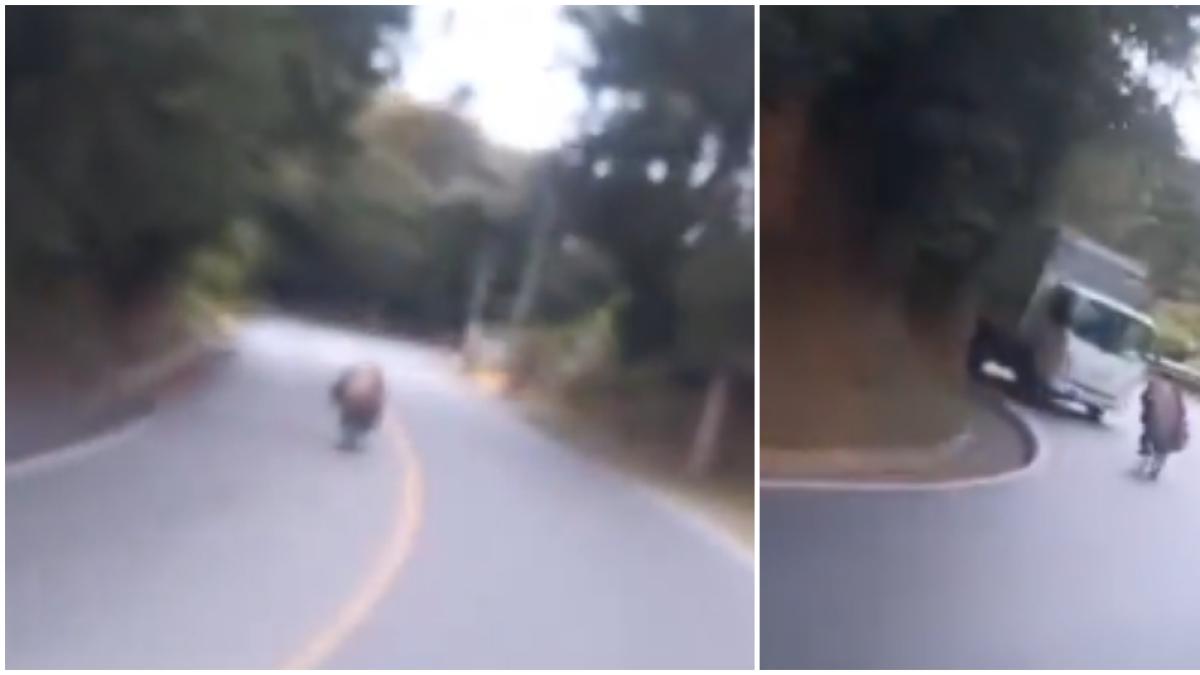 El hombre sufrió un accidente grave cuando practicó una «bicicleta de registro» en Antioquia Road