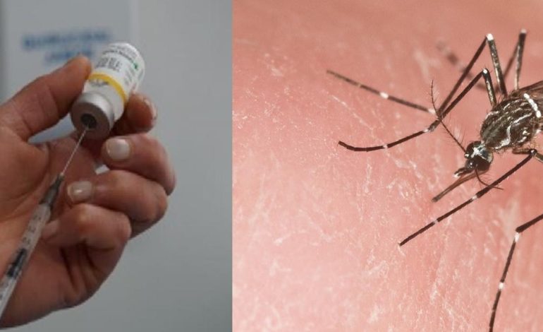 Este es su informe de salud