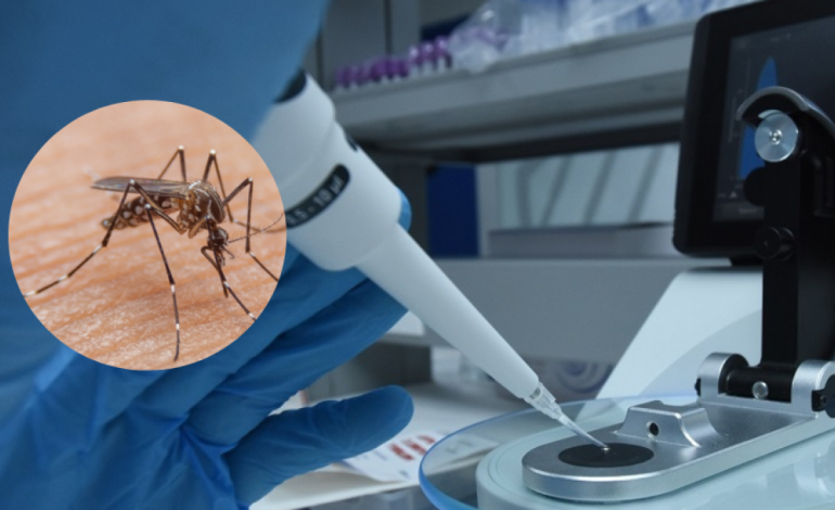 Unisimon ofrece inteligencia artificial para fortalecer el control de la fiebre amarilla en Colombia