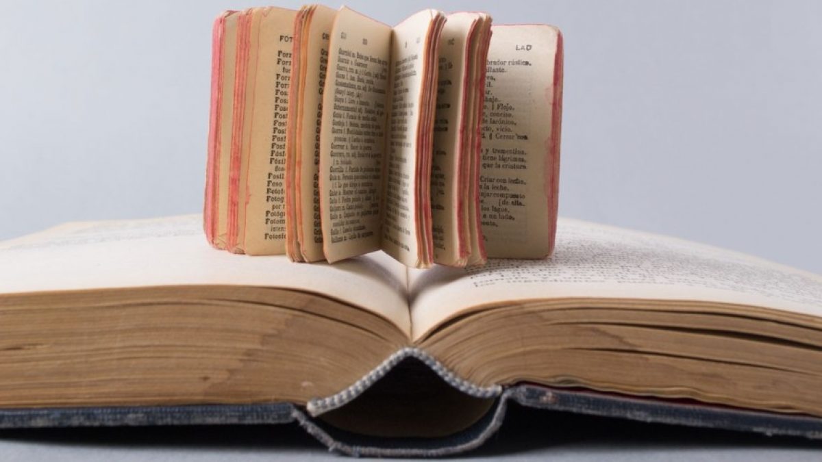 Celebrando los libros: Heritage de la palabra escrita en el día del libro mundial