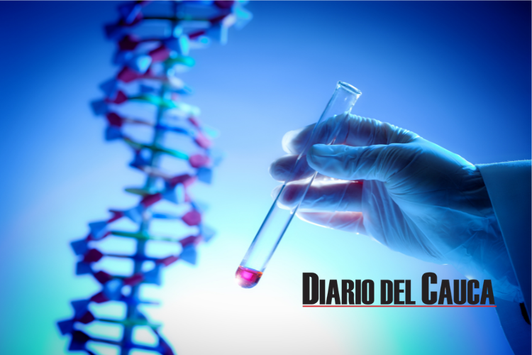 Alternativas para la medicina a través de la edición genética