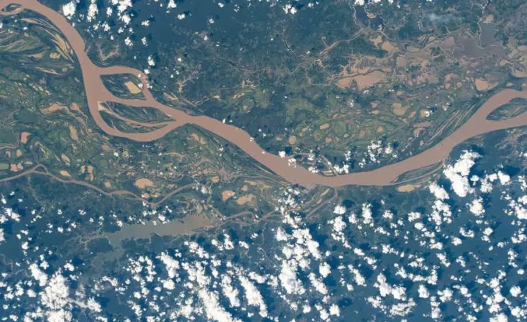 «Vi el Amazon desde el espacio: belleza, secreto y una advertencia global
 – Primer plano