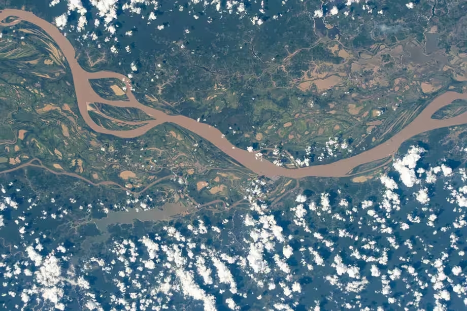 «Vi el Amazon desde el espacio: belleza, secreto y una advertencia global

 – Primer plano