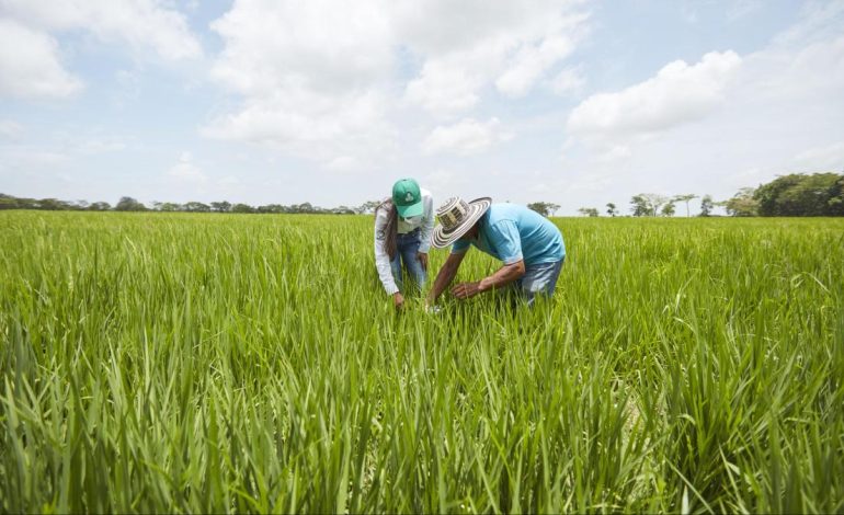 Foro en Villavicencio reunirá a los expertos agro