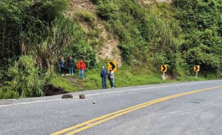 «Quieren robar y matar»