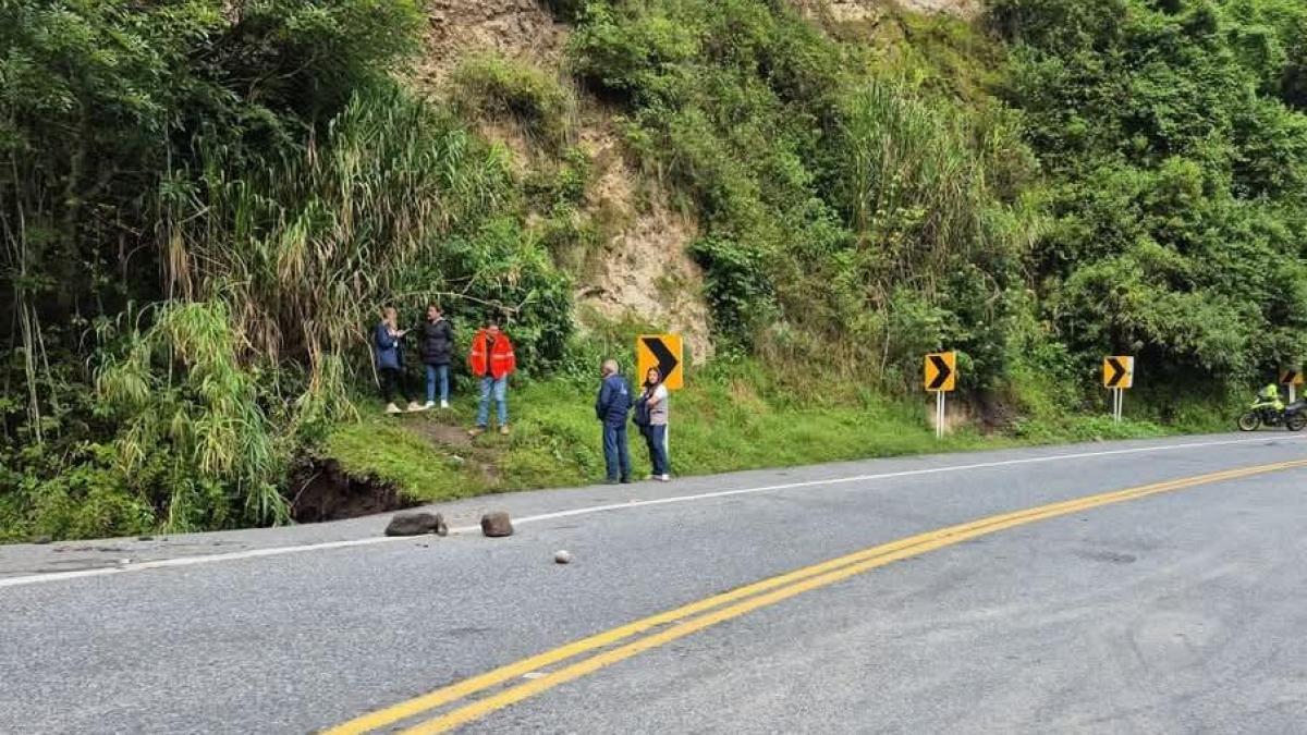 «Quieren robar y matar»