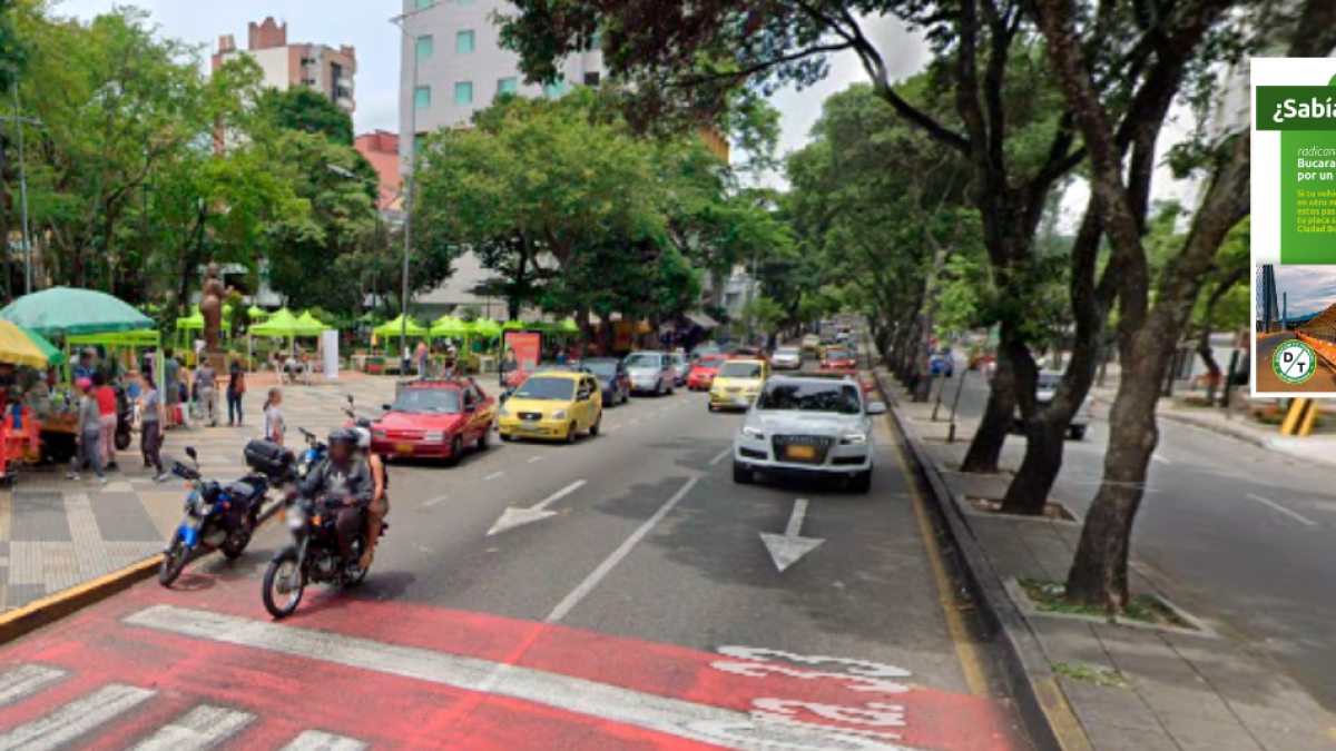 ¿Cómo puedes tener un año sin pico y placa en Bucaramanga? Esto es paso a paso