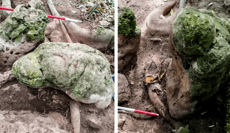 Se pueden encontrar 2.800 años de ciudad maya en la jungla de Petén

 – Primer plano