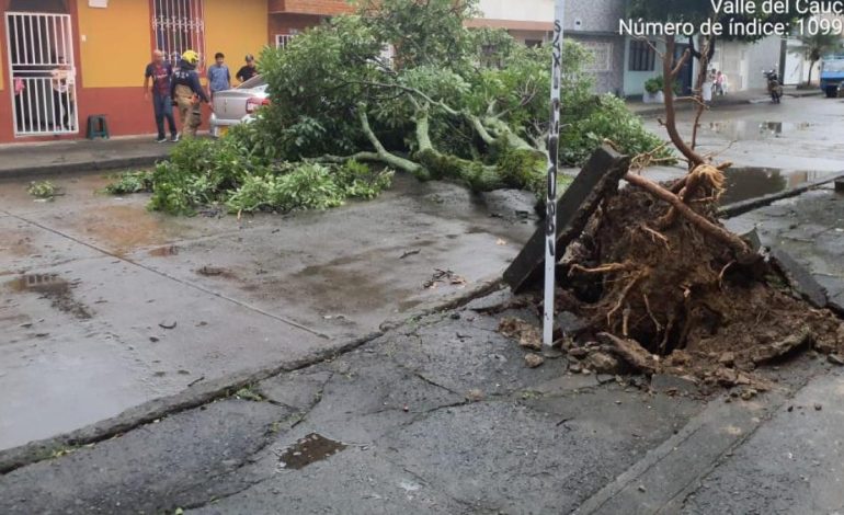 Cali fue nuevamente colapsado por fuertes lluvias: en el oeste, Gulece rompió un vaso de ventana