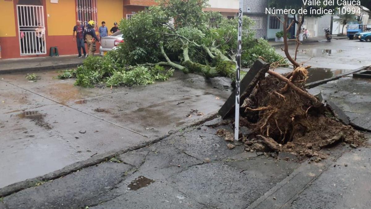 Cali fue nuevamente colapsado por fuertes lluvias: en el oeste, Gulece rompió un vaso de ventana
