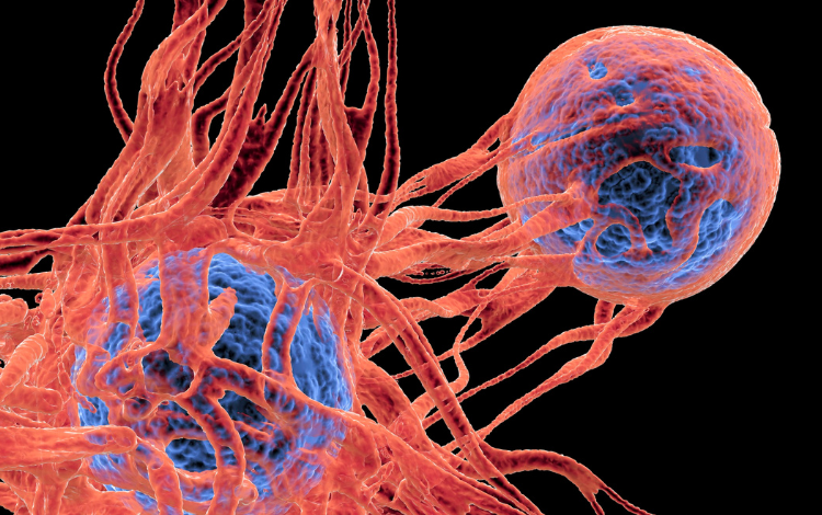 Esperando pacientes con cáncer a través de la inmunoterapia