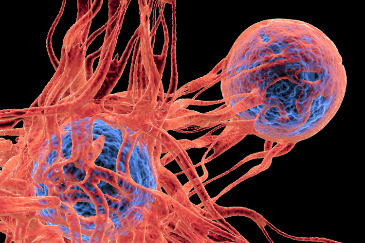 Esperando pacientes con cáncer a través de la inmunoterapia