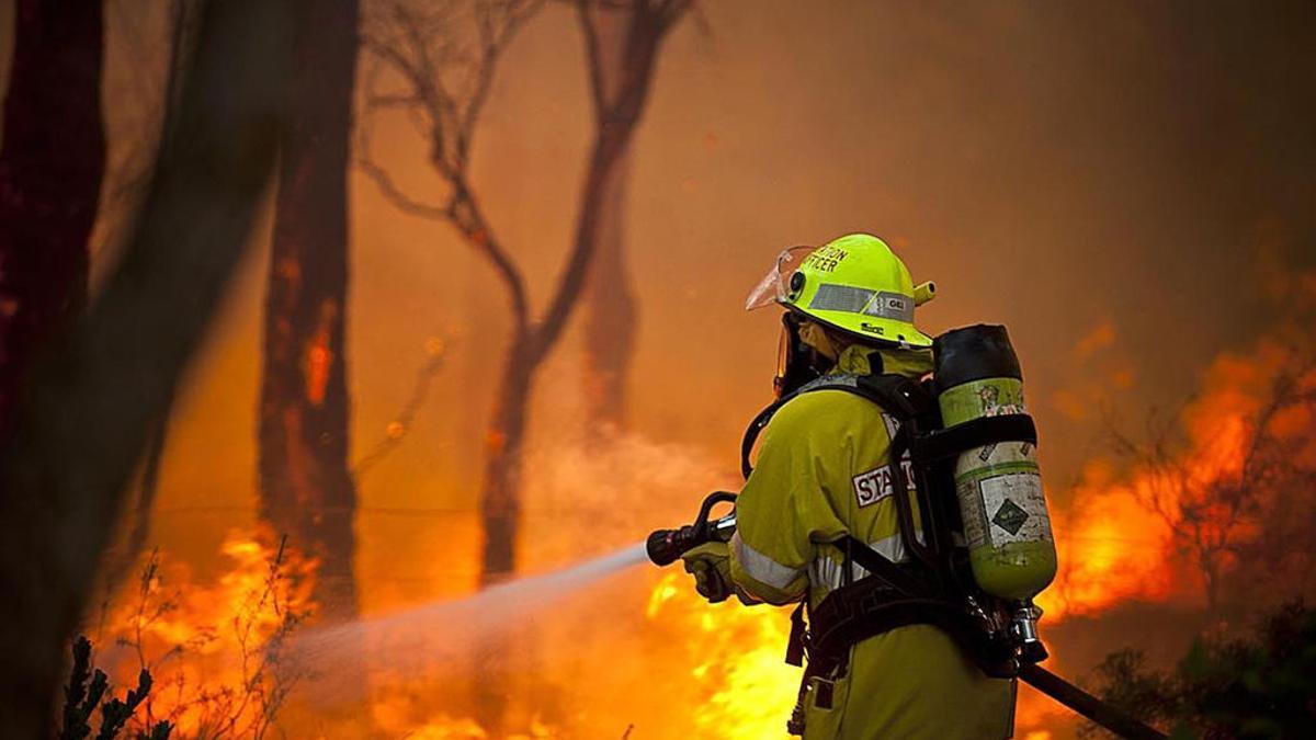 Día internacional de bomberos: un tributo a aquellos que arriesgan sus vidas por los demás