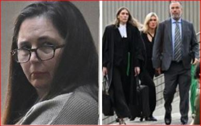 Testigo le dijo a Erin Patterson