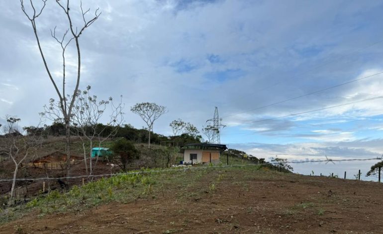 La controvertida tierra de los comerciantes de drogas en Jamundí, donde los estafadores venden parcelas caras: ¿la mafia de la invasión?
