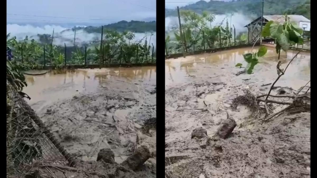 Las lluvias en Quindio están dejando caminos cerrados, deslizamientos de tierra y 120 familias de inspiración en Génova y otros pavimentos