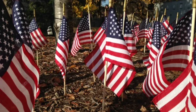 Memorial Day: Historia e importancia del día fals.
– Primer plano
