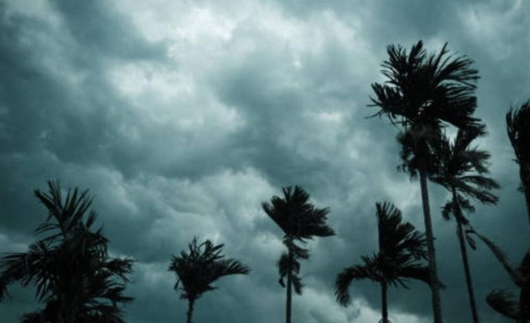 Monitoreará este fenómeno
 – Primer plano