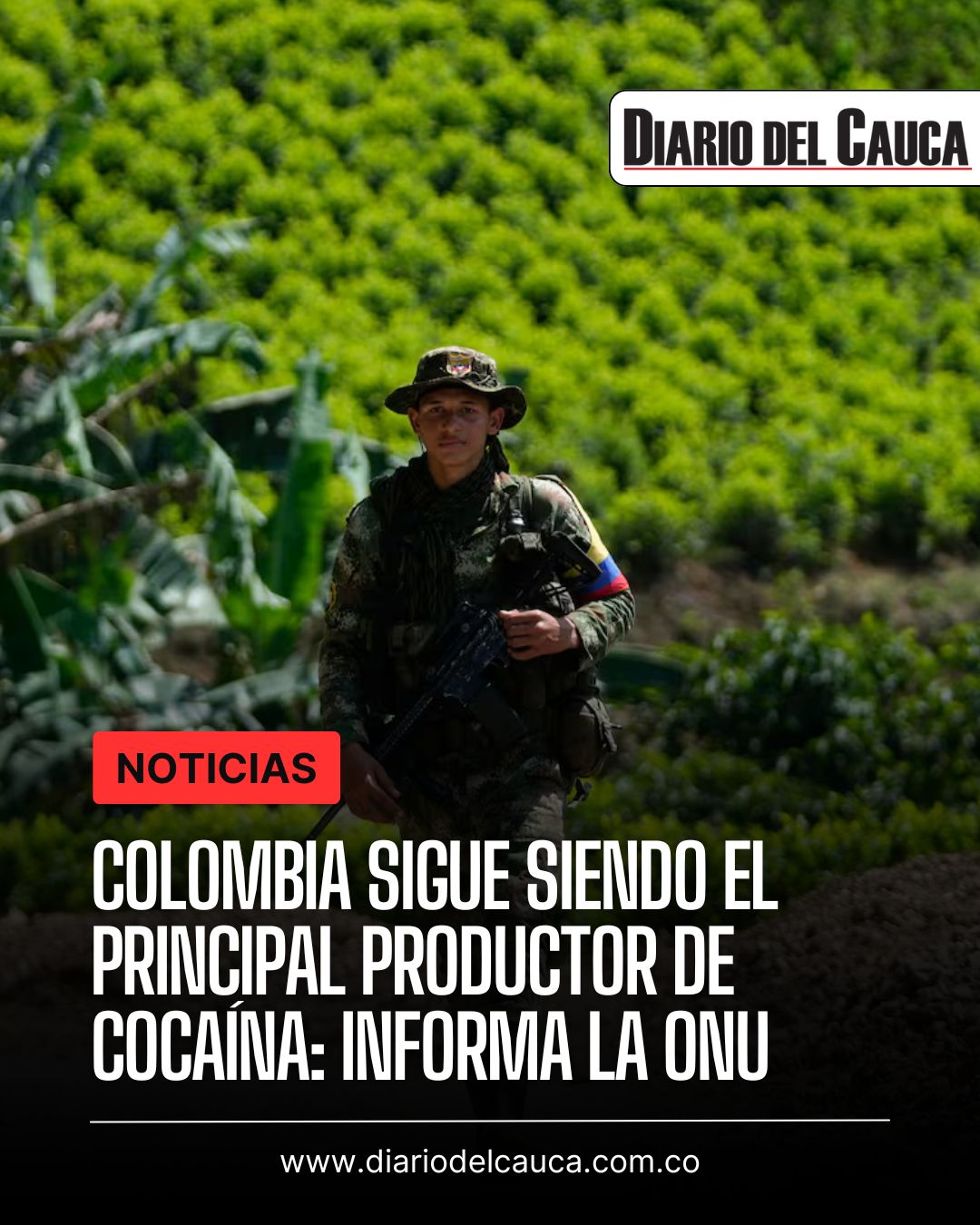 Colombia sigue siendo el productor de cocaína más importante: la advertencia de la ONU para un aumento del 53 %

 – Primer plano