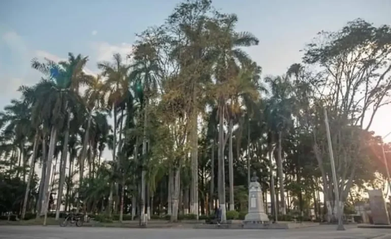 Una pareja y dos niños cayeron en un tractor; Tanto los padres como los 5 años –

 – Primer plano