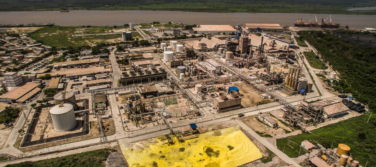 Trump recuerda la licencia del monómetro y sacude la agricultura colombiana

 – Primer plano