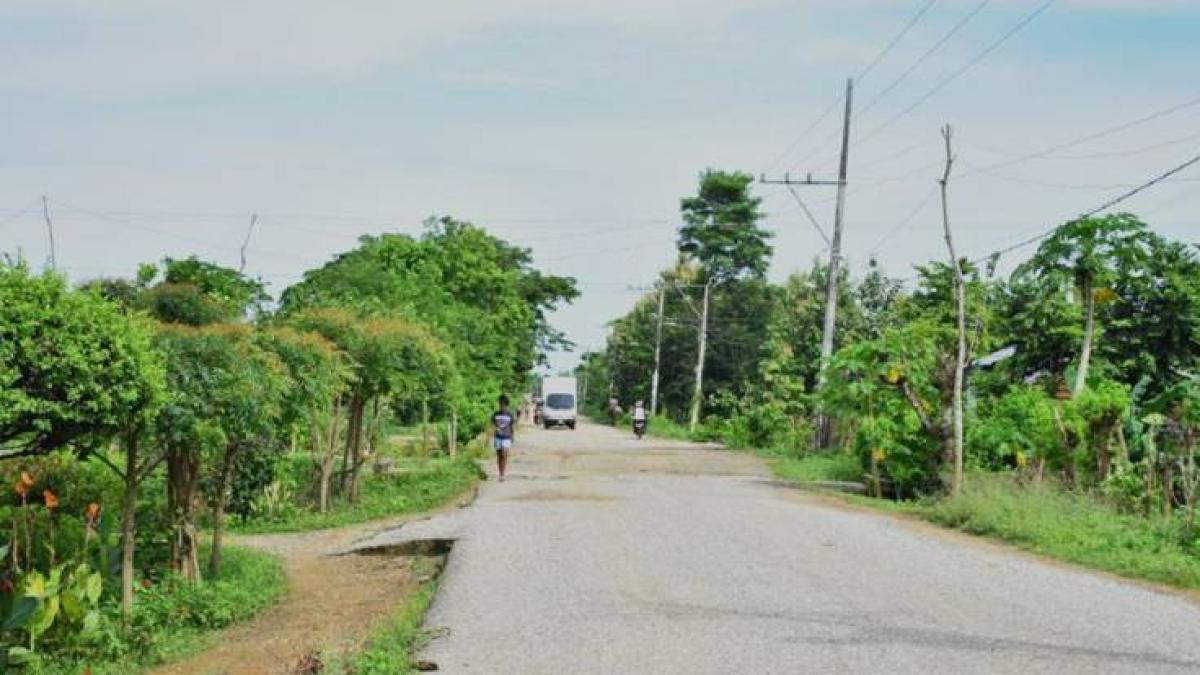 Una búsqueda inquietante de cinco jóvenes que desaparecieron en el norte de Bolívar después de tomar la supuesta oferta de trabajo: las familias fueron amenazadas

 – Primer plano