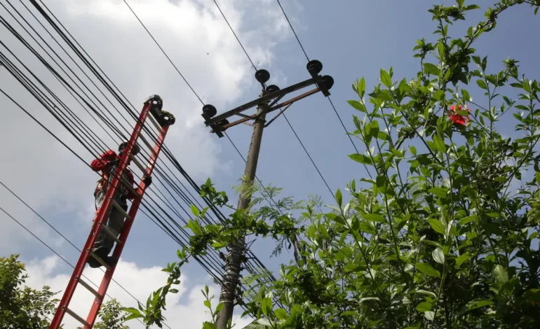 ¡Ojo! Cutki Energy en cinco distritos de todos el martes 24 de junio para el mantenimiento: lo que debe saber
– Primer plano