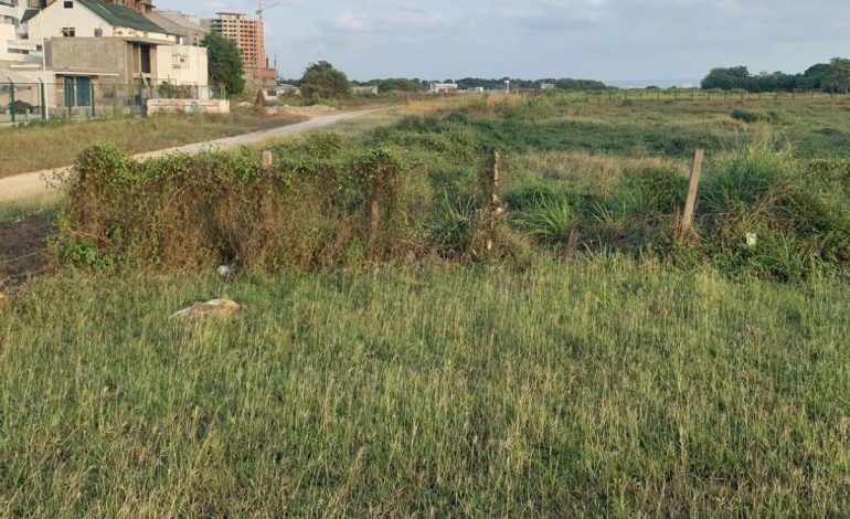 La Corte Suprema parece ser un fracaso histórico en caso de presunto robo de la Tierra en Aerocivil en Cartagena
– Primer plano