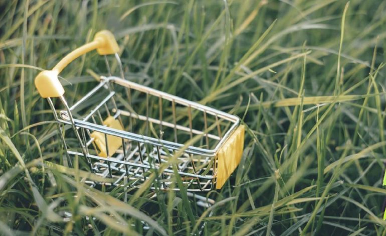 Compras sostenibles, BNPL y otros

 – Primer plano