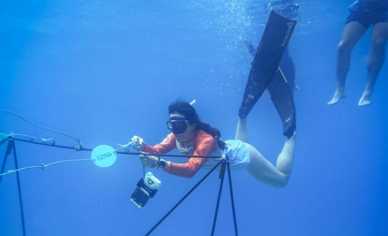 Así es como funcionan las guarderías de coral, que buscan revivir el arrecife en San Andrés
– Primer plano