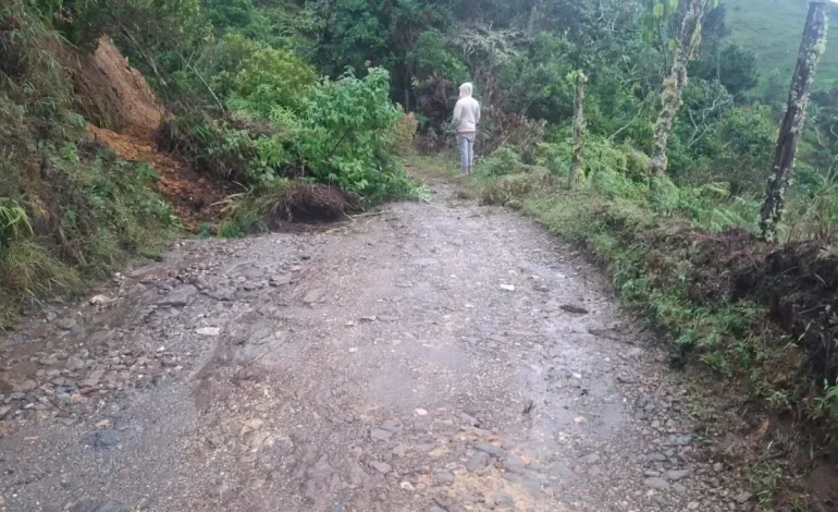 Declarar la urgencia del manifiesto con respecto al impacto en las rutas departamentales

 – Primer plano