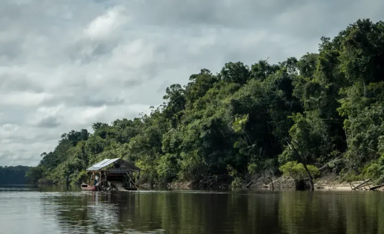 el veneno que contamina a comunidades y ríos en Guainía – Primer plano