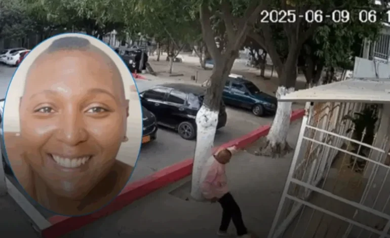 La justicia se refiere a la ley por primera vez contra el abuso animal en Santa Marta

 – Primer plano