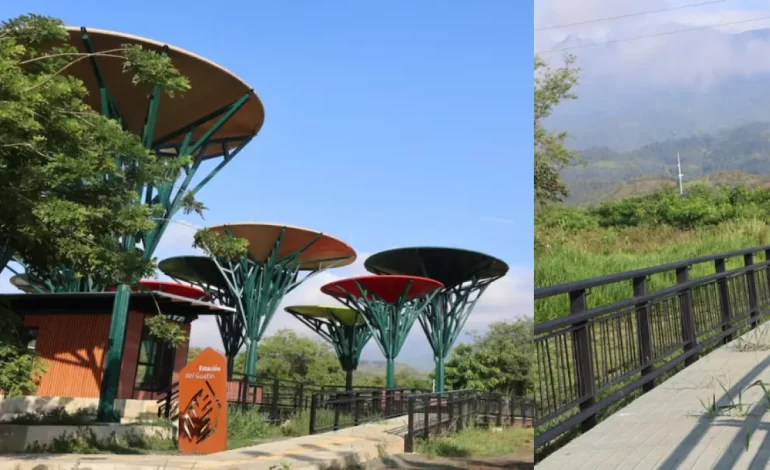 Un nuevo espacio natural dedicado a la renovación ecológica

 – Primer plano