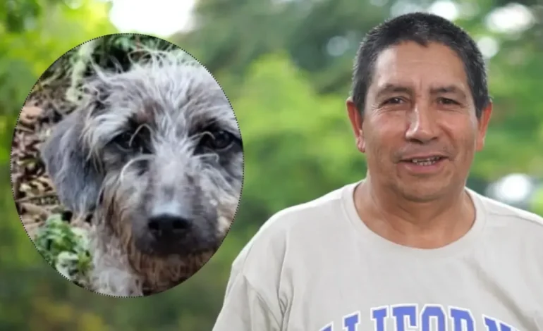 El perro lo acompañó hasta el final
– Primer plano