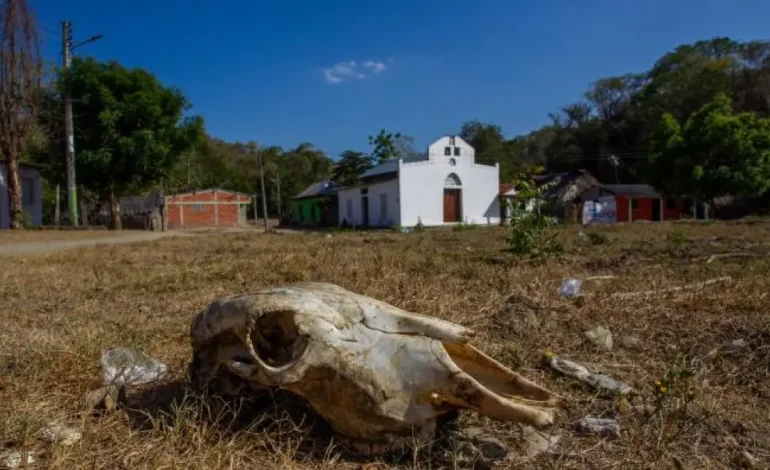 Salado, en suspenso 25 años sin salud, agua o carreteras: ¿hay alguna esperanza para una comunidad olvidada?
– Primer plano