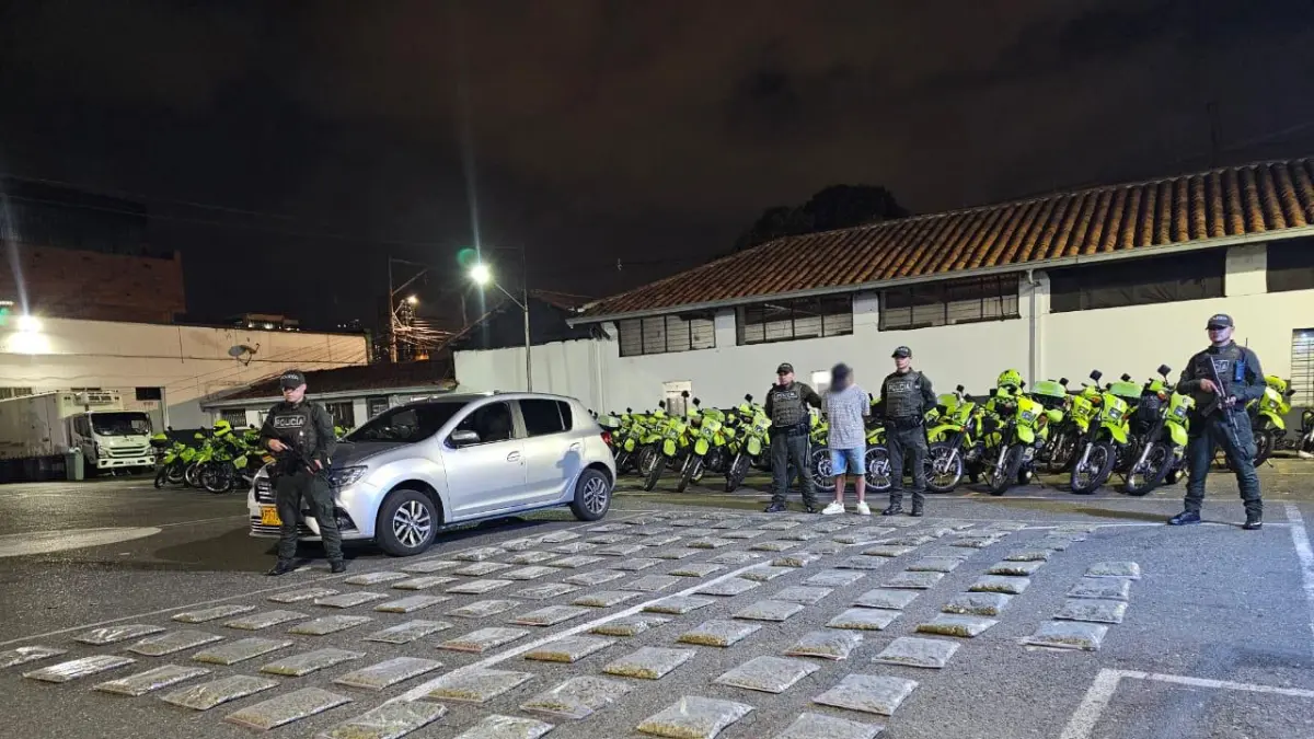Involuciones de drogas en 2024–2025

 – Primer plano
