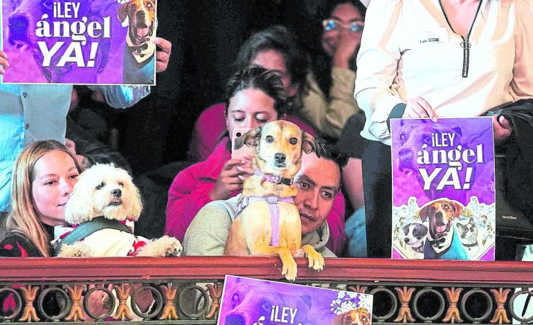 Colombia se dirige hacia los animales

 – Primer plano
