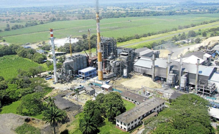Riopaila Castilla promueve la sostenibilidad con un nuevo esquema de financiación para sus proveedores
– Primer plano