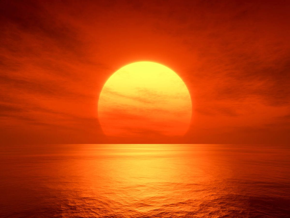 Día Sunny Internacional: un día para mirar el cielo y pensar en el futuro

 – Primer plano