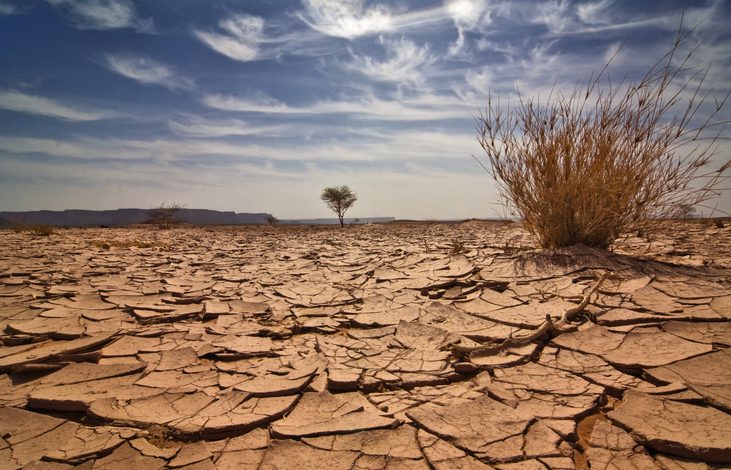 Día del Mundo para combatir el desierto de la propagación y la sequía: un desafío global
– Primer plano