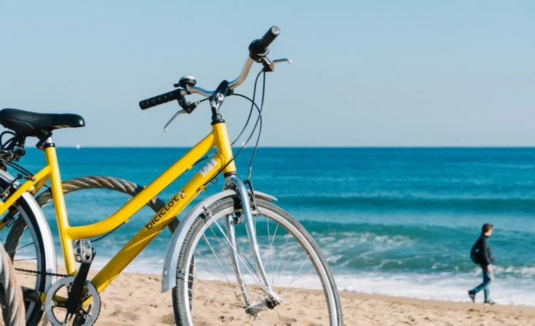 Día mundial de la bicicleta: un impulsor contra la movilidad sostenible

 – Primer plano