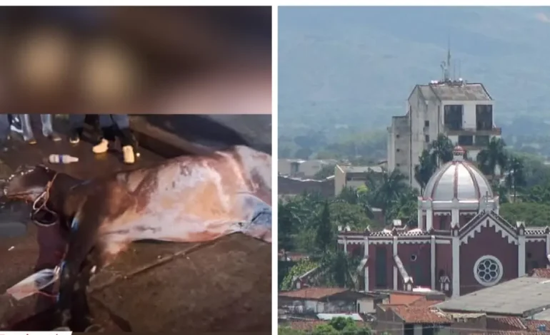 El caballo murió de ataque cardíaco; Van 3 años con la muerte de caballos
– Primer plano