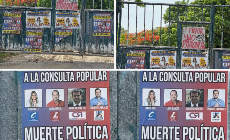 El mensaje de «muerte política» hacia los senadores que no votaron por consultas populares
– Primer plano
