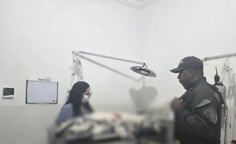 Mató al perro con un arma blanca
– Primer plano